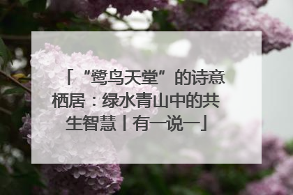 “鹭鸟天堂”的诗意栖居：绿水青山中的共生智慧丨有一说一