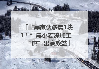 “黑家伙多卖1块1！”黑小麦深加工“磨”出高效益
