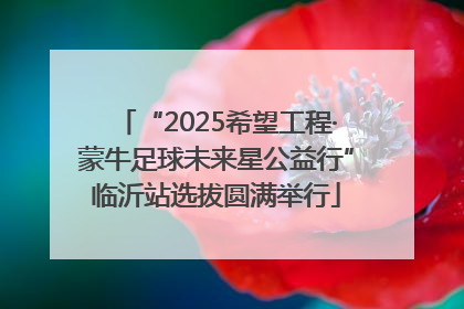 “2025希望工程·蒙牛足球未来星公益行”临沂站选拔圆满举行