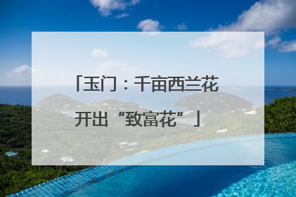 玉门：千亩西兰花开出“致富花”
