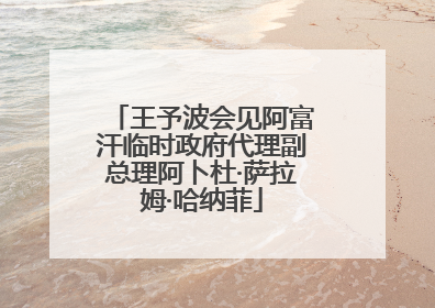 王予波会见阿富汗临时政府代理副总理阿卜杜·萨拉姆·哈纳菲