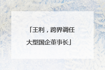 王利，跨界调任大型国企董事长