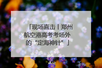 现场直击丨郑州航空港高考考场外的“定海神针”
