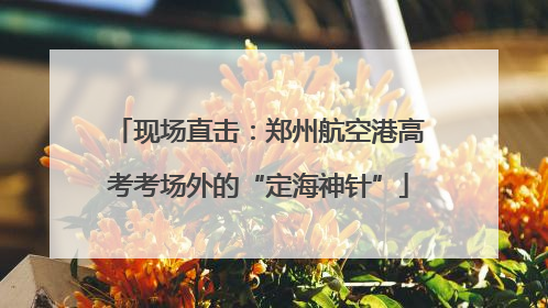 现场直击：郑州航空港高考考场外的“定海神针”