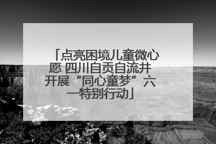 点亮困境儿童微心愿 四川自贡自流井开展“同心童梦”六一特别行动