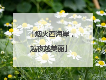 烟火西海岸，越夜越美丽