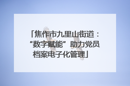 焦作市九里山街道：“数字赋能”助力党员档案电子化管理