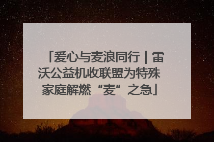 爱心与麦浪同行｜雷沃公益机收联盟为特殊家庭解燃“麦”之急