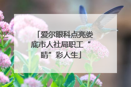 爱尔眼科点亮娄底市人社局职工“睛”彩人生