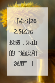 牵引262.5亿元投资，乐山的“速度和深度”