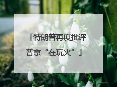 特朗普再度批评普京“在玩火”