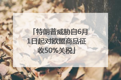 特朗普威胁自6月1日起对欧盟商品征收50%关税