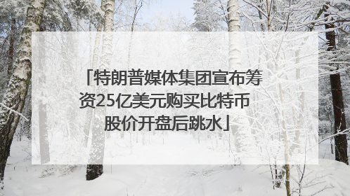 特朗普媒体集团宣布筹资25亿美元购买比特币 股价开盘后跳水