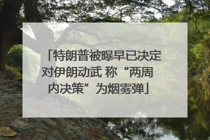 特朗普被曝早已决定对伊朗动武 称“两周内决策”为烟雾弹