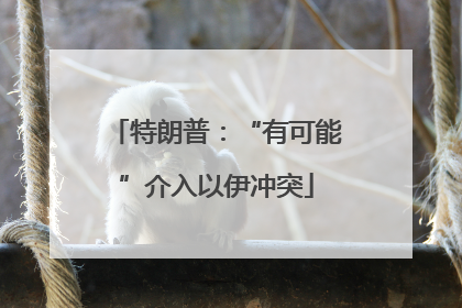 特朗普：“有可能”介入以伊冲突