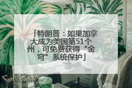 特朗普：如果加拿大成为美国第51个州，可免费获得“金穹”系统保护
