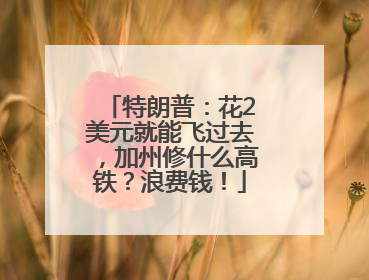 特朗普：花2美元就能飞过去，加州修什么高铁？浪费钱！