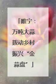 睢宁：万吨大蒜拨动乡村振兴“金蒜盘”
