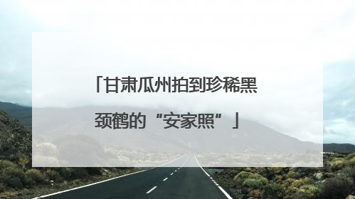甘肃瓜州拍到珍稀黑颈鹤的“安家照”
