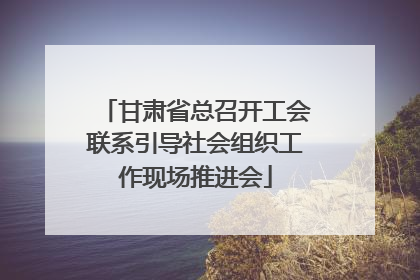 甘肃省总召开工会联系引导社会组织工作现场推进会