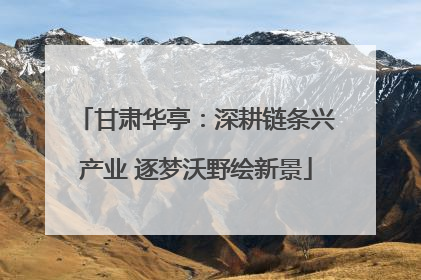 甘肃华亭：深耕链条兴产业 逐梦沃野绘新景