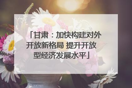 甘肃：加快构建对外开放新格局 提升开放型经济发展水平