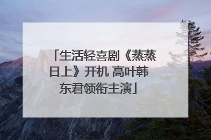 生活轻喜剧《蒸蒸日上》开机 高叶韩东君领衔主演