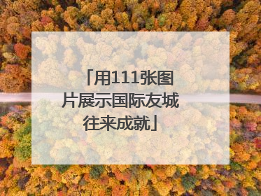 用111张图片展示国际友城往来成就