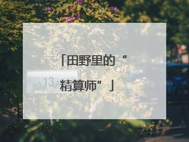 田野里的“精算师”