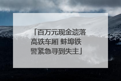 百万元现金遗落高铁车厢 蚌埠铁警紧急寻到失主