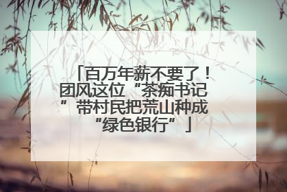 百万年薪不要了！团风这位“茶痴书记”带村民把荒山种成“绿色银行”