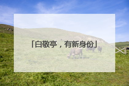 白敬亭，有新身份