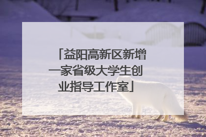 益阳高新区新增一家省级大学生创业指导工作室