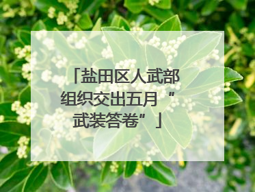 盐田区人武部组织交出五月“武装答卷”