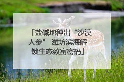 盐碱地种出“沙漠人参” 潍坊滨海解锁生态致富密码