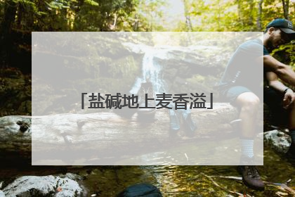 盐碱地上麦香溢