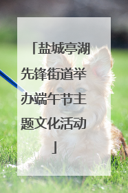 盐城亭湖先锋街道举办端午节主题文化活动