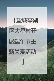 盐城亭湖区大星村开展端午节主题关爱活动