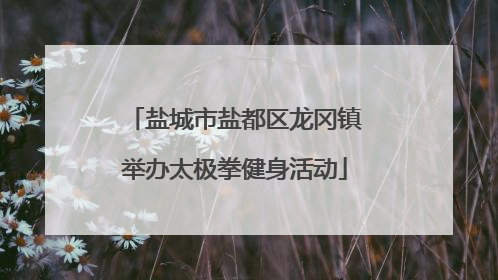 盐城市盐都区龙冈镇举办太极拳健身活动