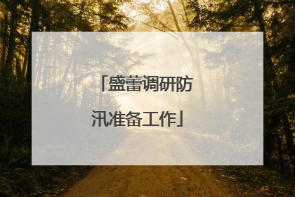盛蕾调研防汛准备工作