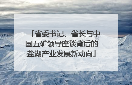 省委书记、省长与中国五矿领导座谈背后的盐湖产业发展新动向