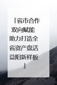 省市合作双向赋能 助力打造全省资产盘活益阳新样板