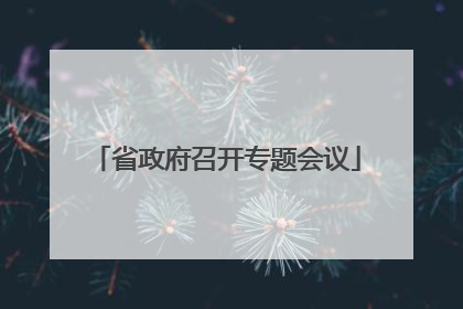 省政府召开专题会议