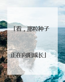 看，那粒种子正在向阳成长