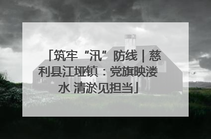 筑牢“汛”防线｜慈利县江垭镇：党旗映溇水 清淤见担当