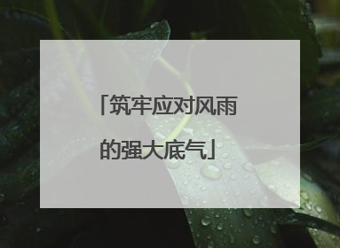筑牢应对风雨的强大底气