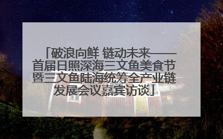 破浪向鲜 链动未来——首届日照深海三文鱼美食节暨三文鱼陆海统筹全产业链发展会议嘉宾访谈