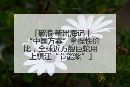 破浪·新出海记丨 “中国方案”拿捏性价比，全球近万艘巨轮用上镇江“节能桨”