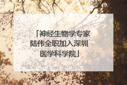 神经生物学专家陆伟全职加入深圳医学科学院