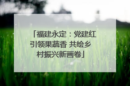 福建永定：党建红引领果蔬香 共绘乡村振兴新画卷